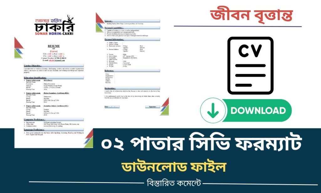 2 page cv